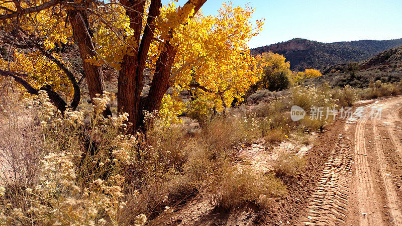 秋天的颜色草史密森尼Butte国家科学Backway罗克维尔犹他州