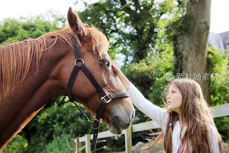 小女孩抚摸着一匹马