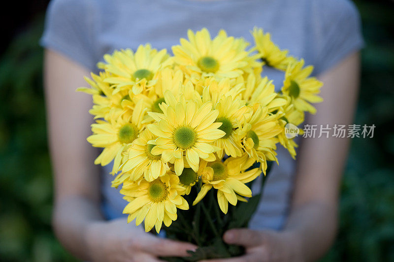 女人手里拿着鲜切的黄色雏菊