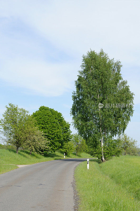 蜿蜒的道路