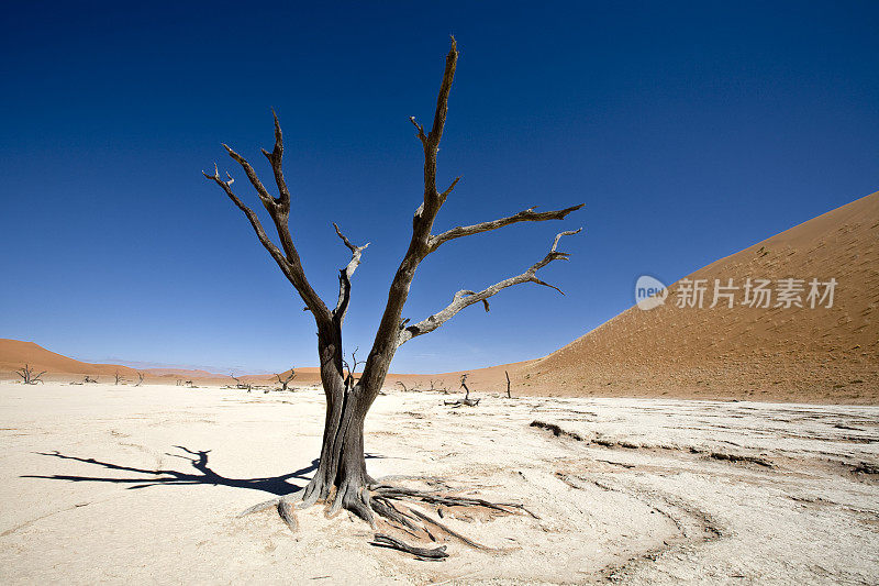 死亡谷超现实的沙漠景观