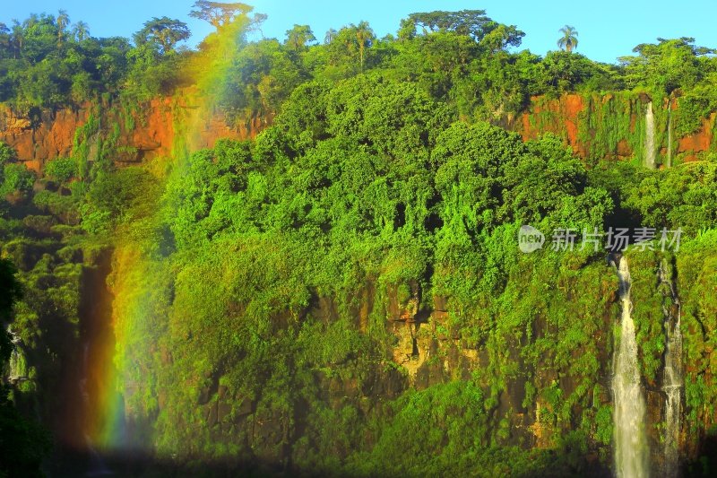 丛林和瀑布在伊瓜苏瀑布国家公园，巴西阿根廷