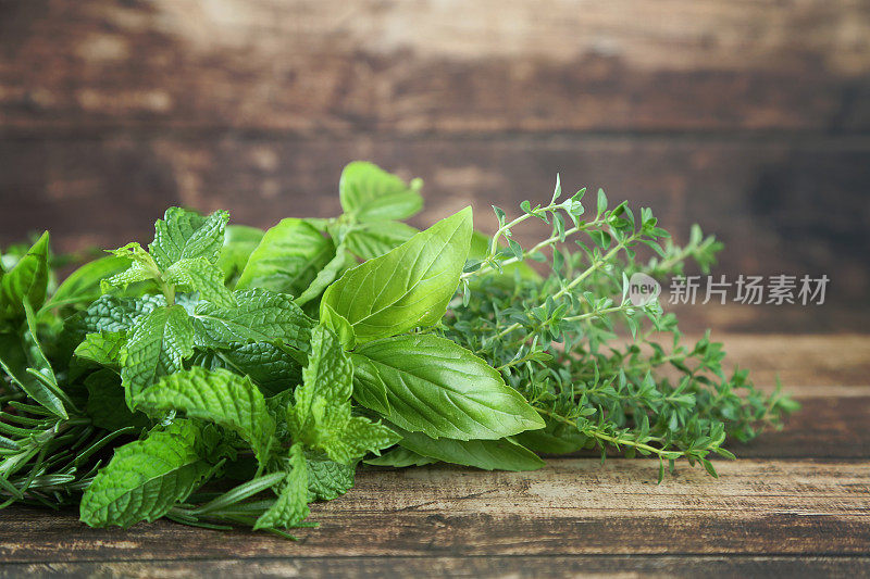 草本植物