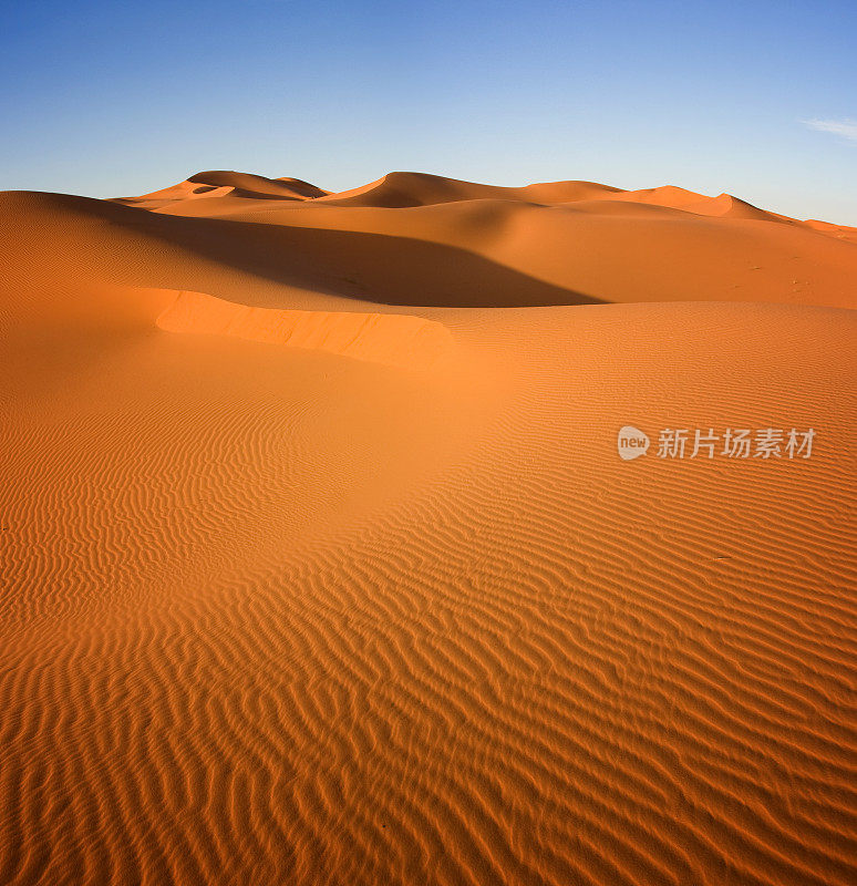 撒哈拉沙漠的沙丘映衬着蓝天