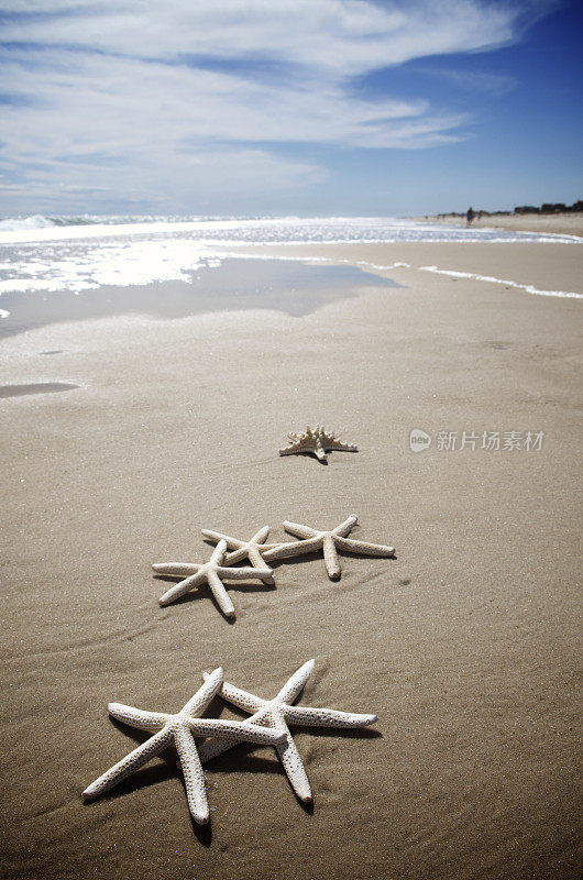 海星散落在空旷的海滩上