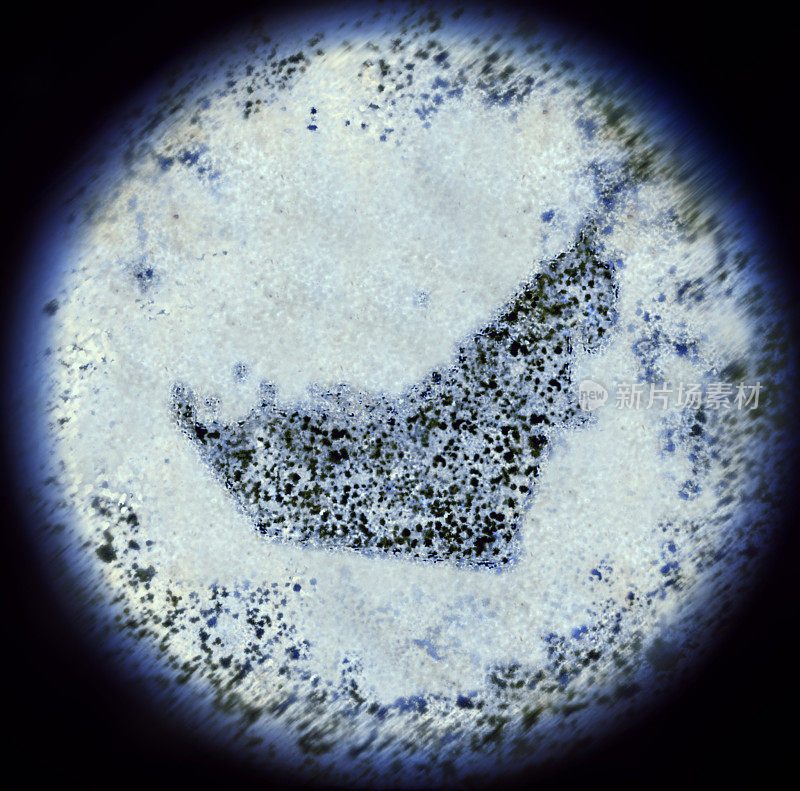 通过显微镜观察，细菌的形状像阿拉伯联合酋长国。(年代