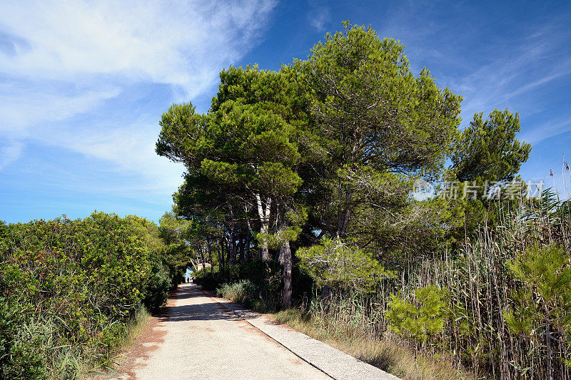 马略卡岛的自然公园S'Albufera