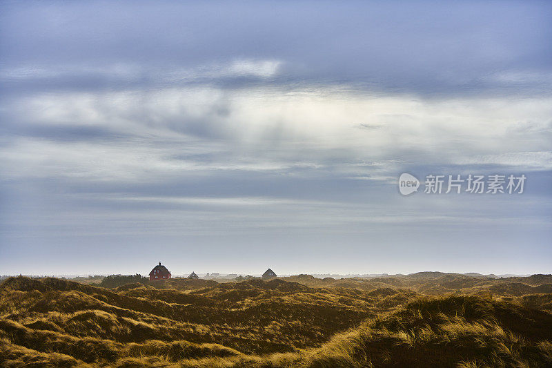 丹麦西海岸，靠近海边的石楠属的小山