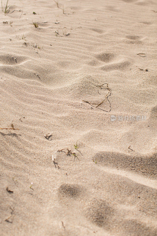 佛罗里达朱诺海滩的沙子