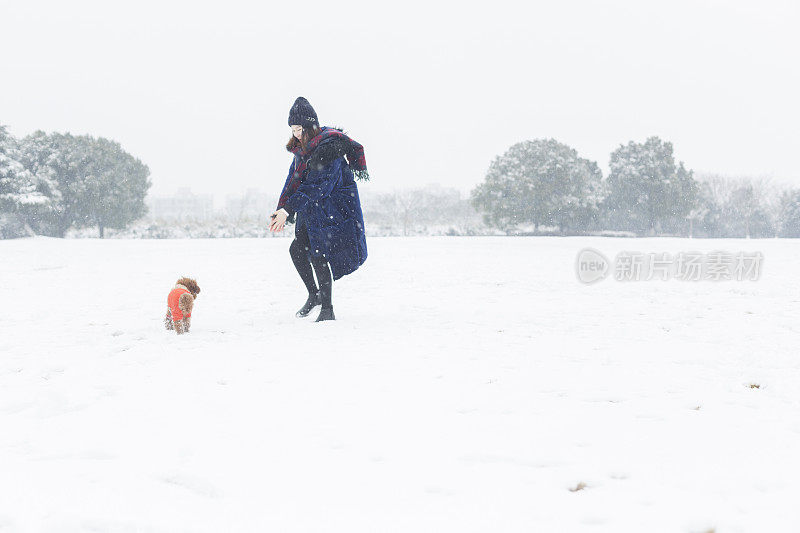 美丽的女人享受雪与宠物狗在雪地上