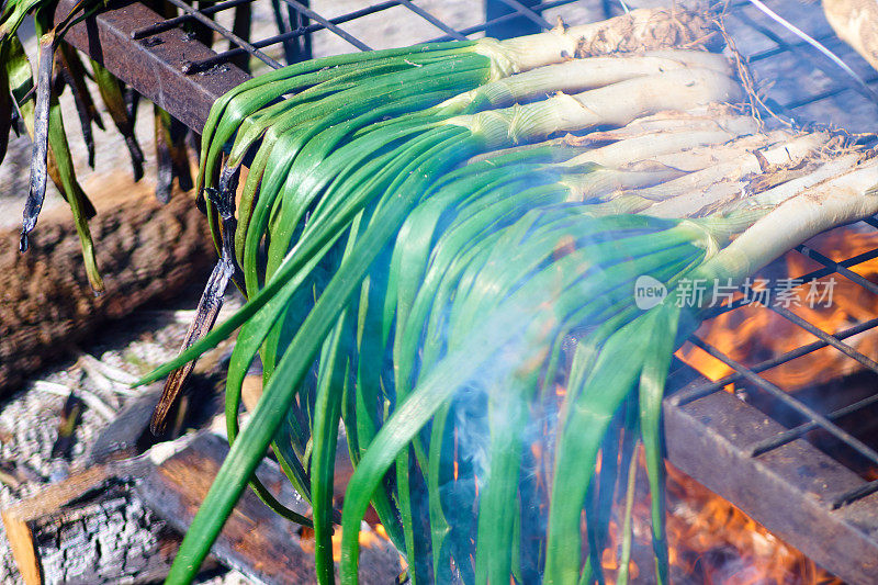 Calçots烤架上的火上——加泰罗尼亚人的典型餐点