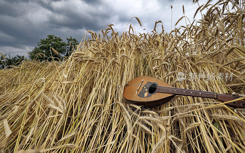 意大利贝加莫，小麦上的曼陀林。