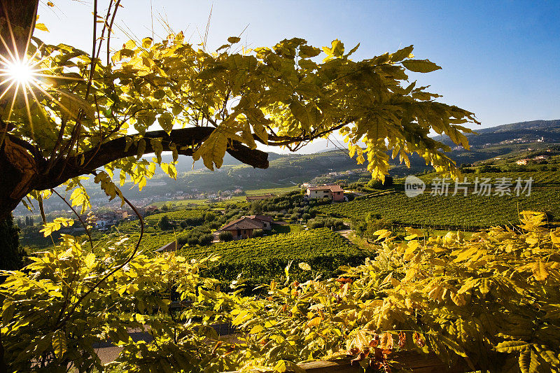 意大利秋季景观