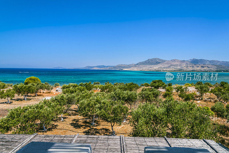异国情调的希腊岛屿海岸线上有大量的橄榄树和令人兴奋的海洋