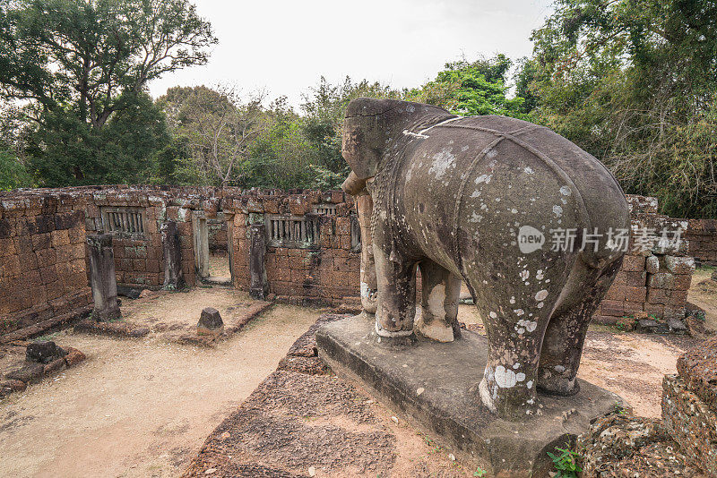 吴哥窟古庙中的大象雕像，背景是自然和树木