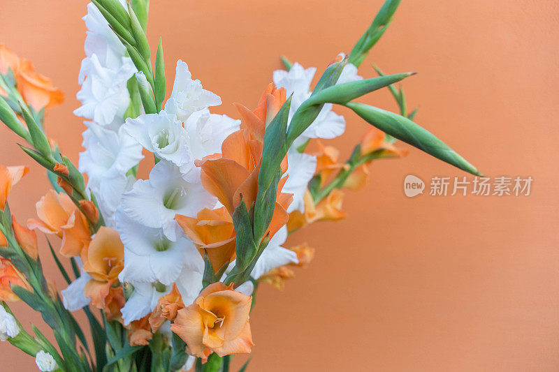 白色和橙色的剑兰花束