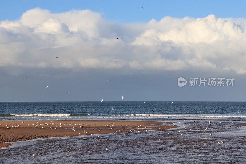 海和河上的云朵和海鸥