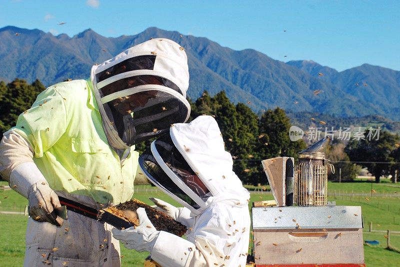 穿着蜜蜂服的孩子学习蜂箱
