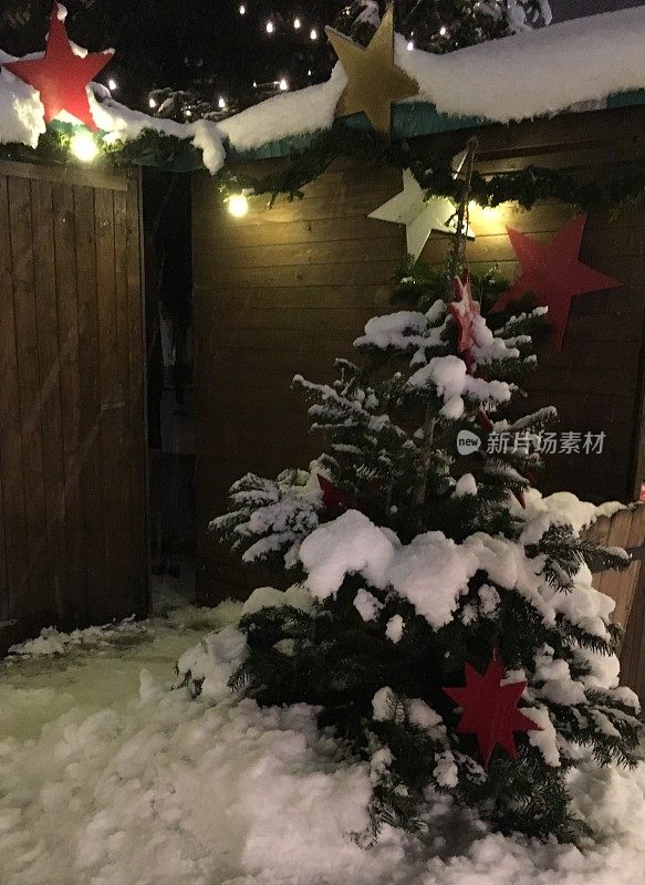 白雪覆盖的圣诞树