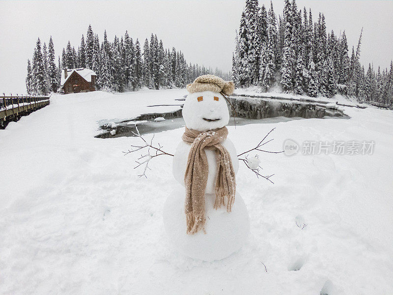 雪人在松树林在加拿大