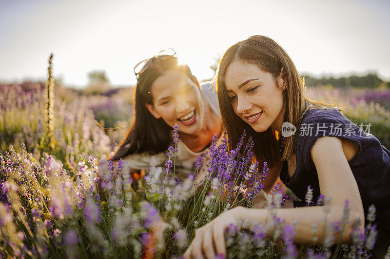 在薰衣草田里享受夏日