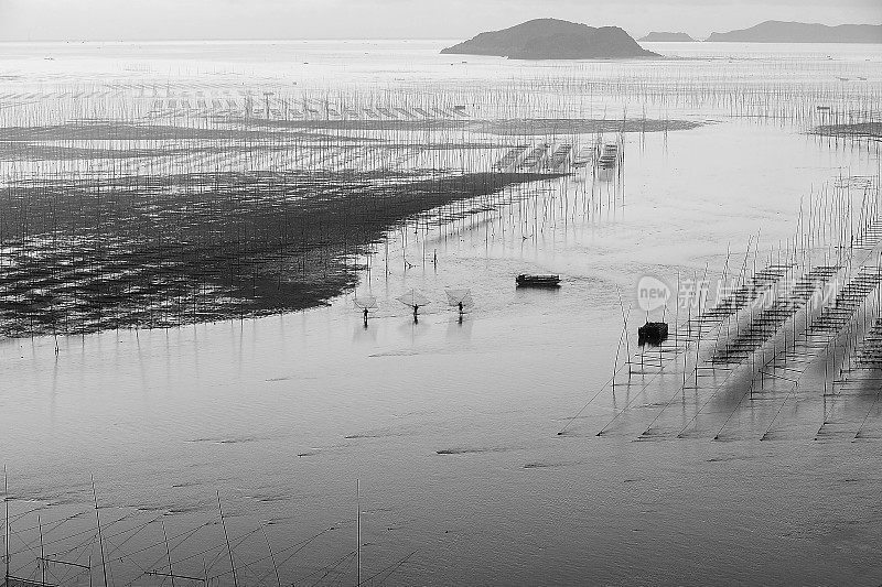 福建霞浦沿岸泥滩