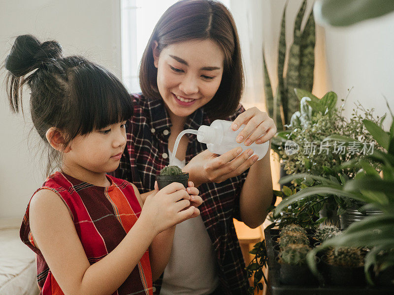 年轻的母亲和女儿在房间里种仙人掌。