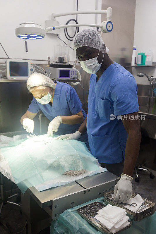 两名外科医生在一家兽医院给一只狗动手术