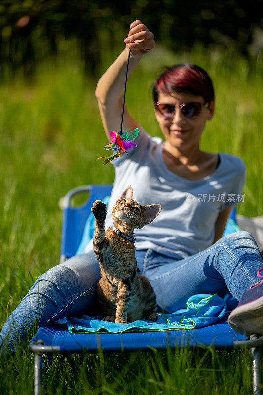 中年妇女玩她的小猫在户外草地-股票照片