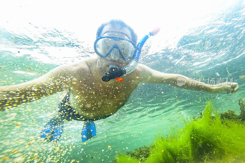 夏天，在法国布列塔尼海岸的浅水里浮潜的人