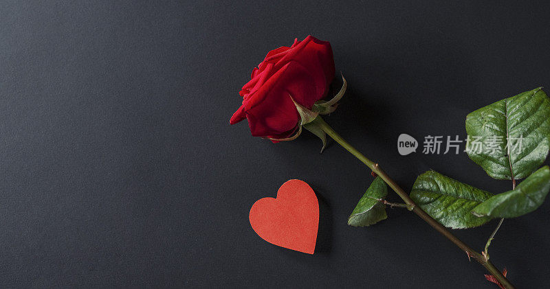 情人节背景，红玫瑰和心形的黑色背景。