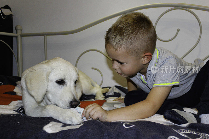 小男孩和他的金毛猎犬