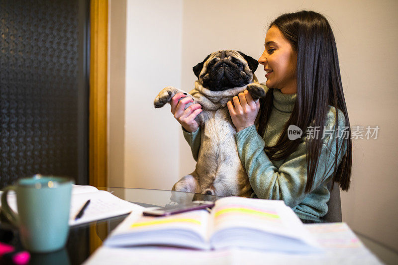 一位年轻女子在学习间隙和最可爱的哈巴狗玩耍