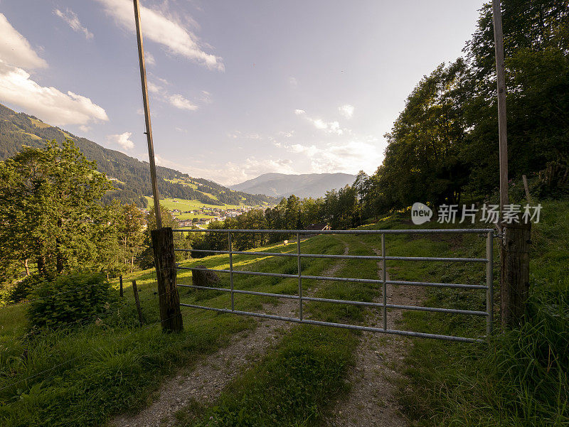 在奥地利阿尔卑斯山美丽的晨曦中，牧场围栏和绿色草地的大门