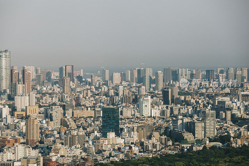 东京的城市