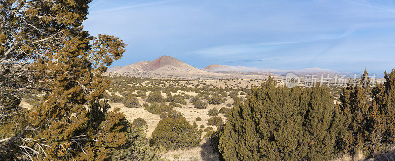 透过杜松丛到亚利桑那州偏远山区的全景。聚焦背景中的山脉，前景散焦。高分辨率全景缝。