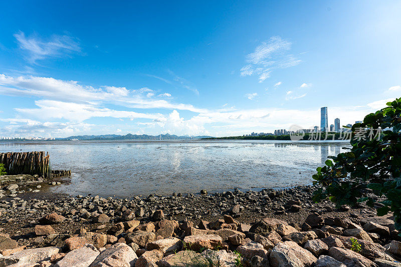 一个晴朗天空下的海滨城市