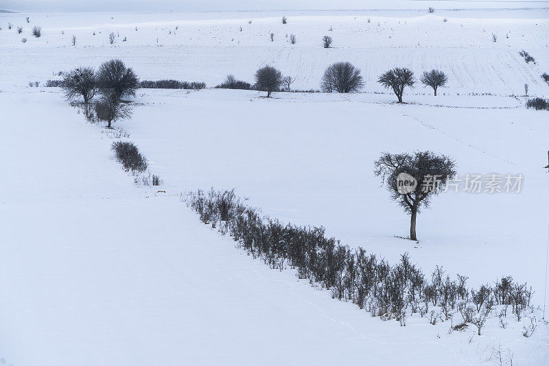 在白雪皑皑的平原上可见的树木和线条灌木的背景