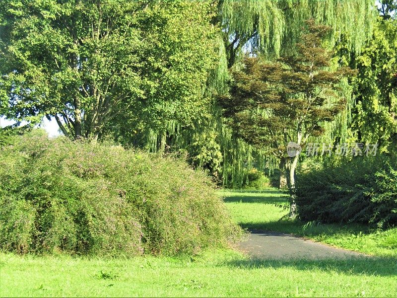 日本。10月的开始。公园。