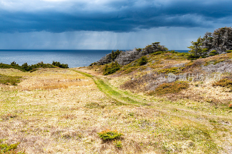 低头，保姆洞和睡眠湾小径，乌鸦头，Twillingate，加拿大