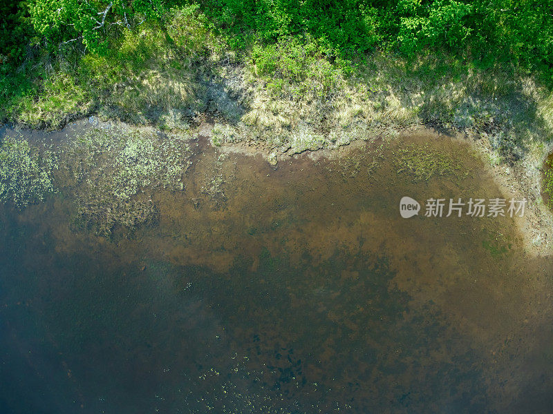 俯瞰长满青草的湖岸