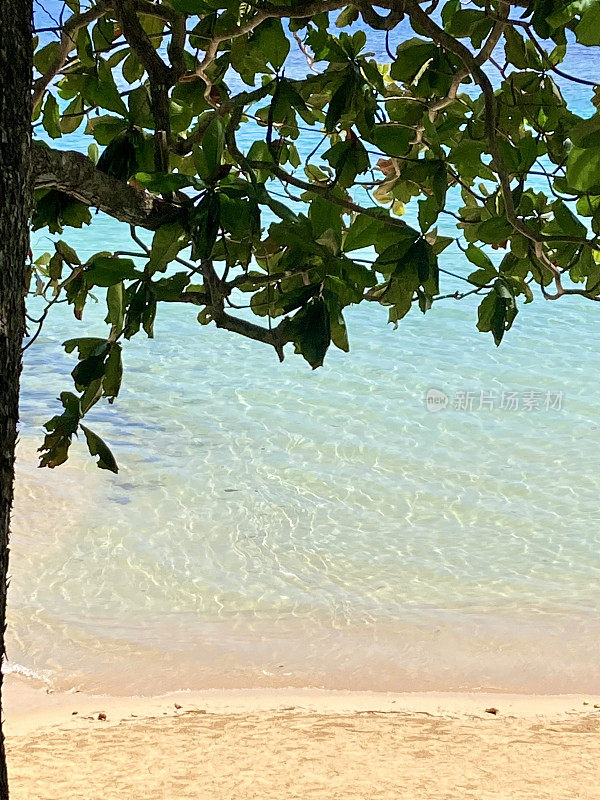 牙买加-奥乔里奥斯-邓恩河海滩