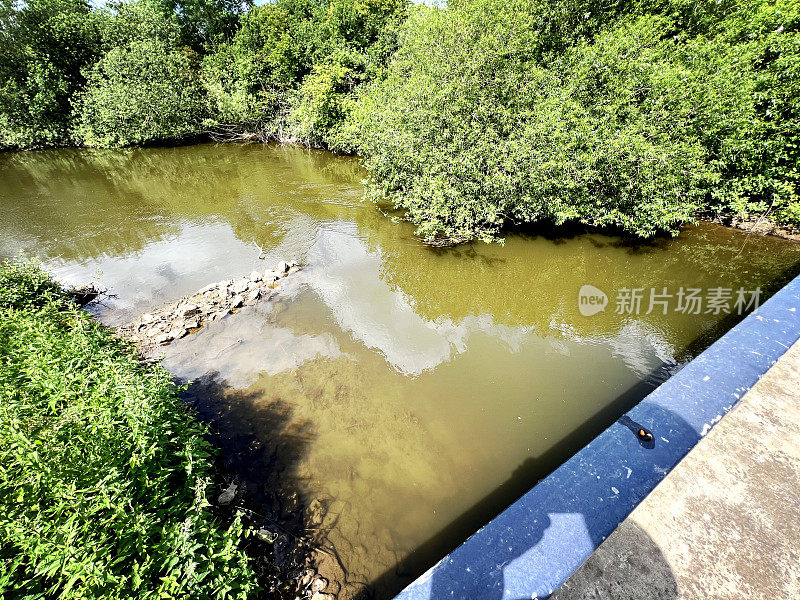 隔着栏杆可以看到一条小河，夏天河水浑浊，树木繁茂。