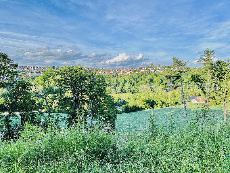 山村