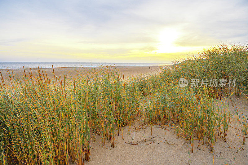 瓦登海地区特塞尔岛沙丘上的日出