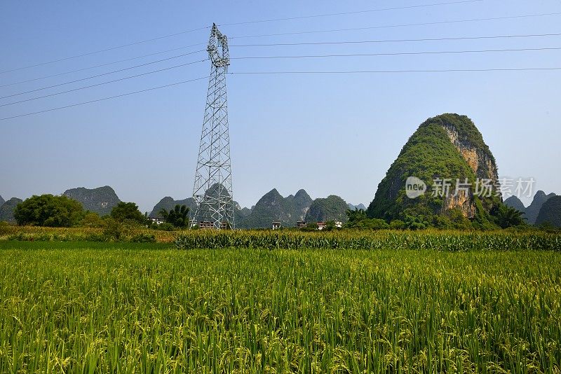 喀斯特地貌未污染农业区-稻田