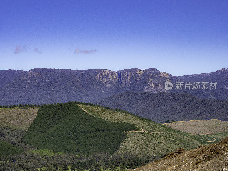 青山美景