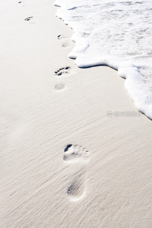 沙滩上的脚印