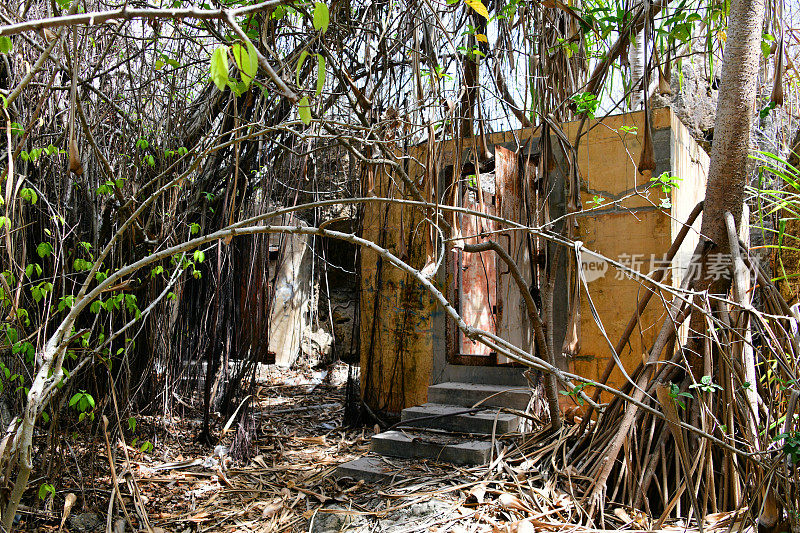 日本监狱和森林，瑙鲁的Buada区