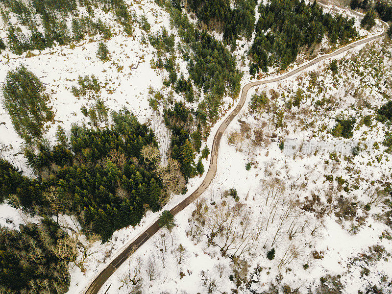 森林中道路的鸟瞰图，两侧有雪